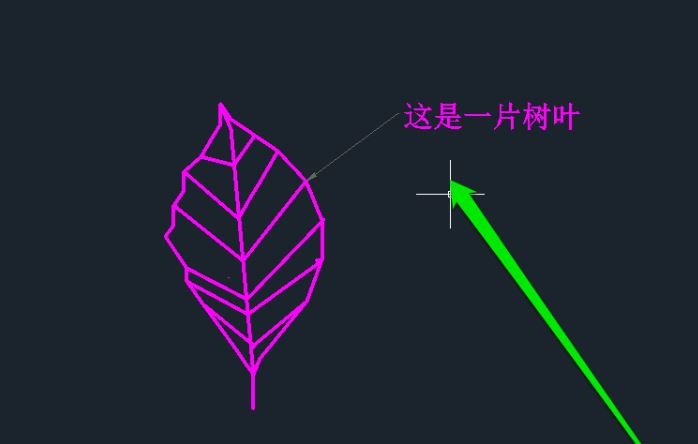 cad怎么引线标注文字(cad怎么引线标注文字快捷键)