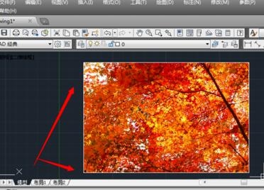 CAD软件去除插入图片边框的操作步骤(cad导入图片去除边框)