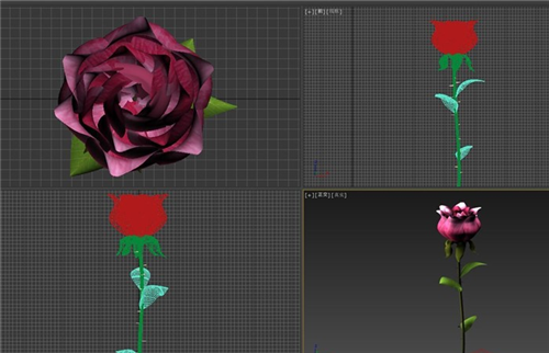 3dmax软件制作简易玫瑰花朵模型的分步骤教程(3dmax玫瑰花建模教程)