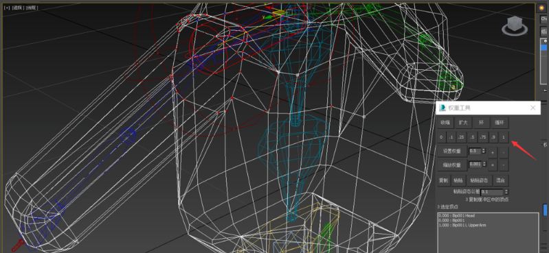 3dmax人物模型蒙皮后调整权重骨骼点的方法(3dmax骨骼绑定蒙皮权重)