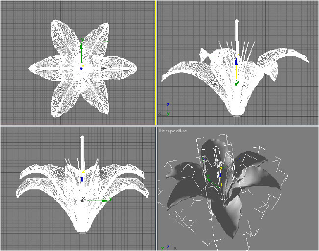 七步教你制作出3dmax百合花瓣模型(七步教你制作出3dmax百合花瓣模型视频)