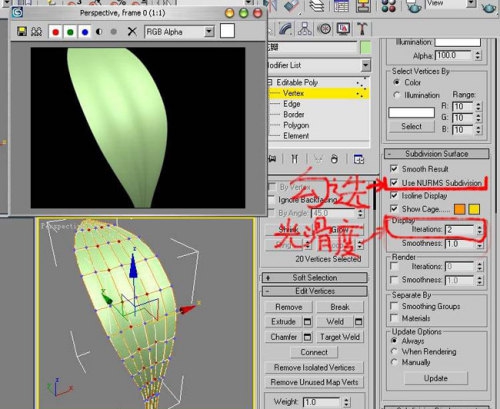 3DsMax教程:简单快速绘制漂亮的郁金香