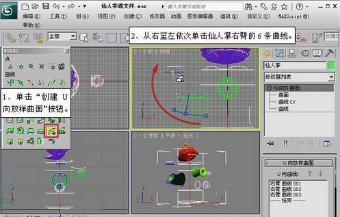 仙人掌的3DMAX NURBS建模教程(仙人掌3dmax模型教学)