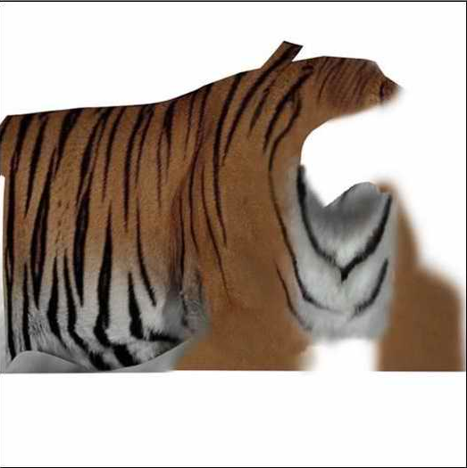 3dsmax绘制毛色亮丽视觉冲击感强的3D老虎
