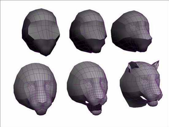 3dsmax绘制毛色亮丽视觉冲击感强的3D老虎