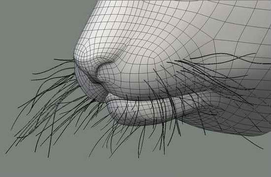 3dsmax绘制毛色亮丽视觉冲击感强的3D老虎