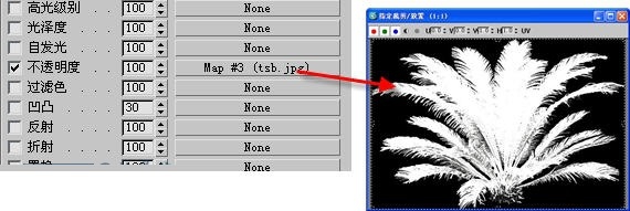 怎样使用3DMAX制作铁树林模型(怎样使用3dmax制作铁树林模型)