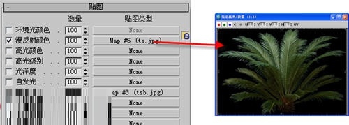 怎样使用3DMAX制作铁树林模型(怎样使用3dmax制作铁树林模型)