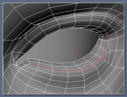 3DMAX制作人物逼真的眼睫毛模型(3d动漫人物模型制作教程)