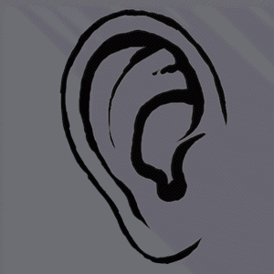 3DMAX制作多边形耳朵模型基础教程(3dmax制作多边形耳朵模型基础教程视频)