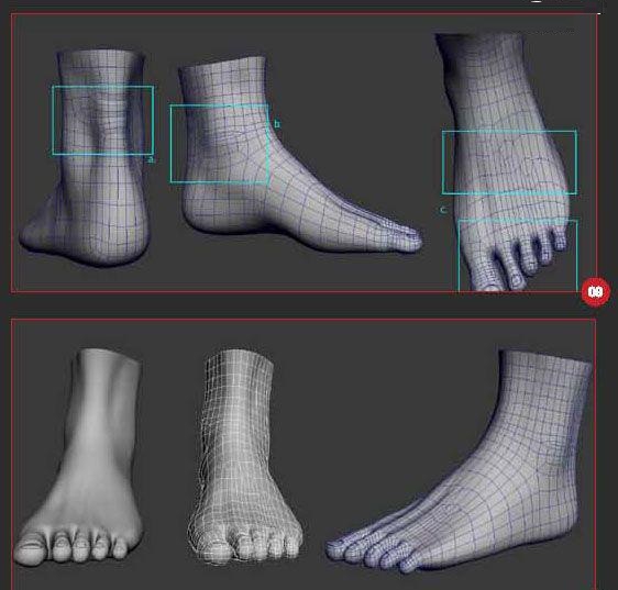 通过3DsMAX制作人体脚的模型
