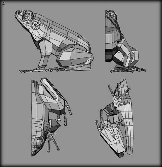 MAYA教您创建照片级青蛙模型