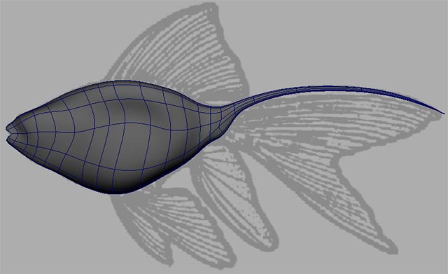 MAYA教您制作一条在水里自由自在畅游的鱼模型(maya怎么做鱼的简单模型)