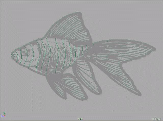 MAYA教您制作一条在水里自由自在畅游的鱼模型(maya怎么做鱼的简单模型)