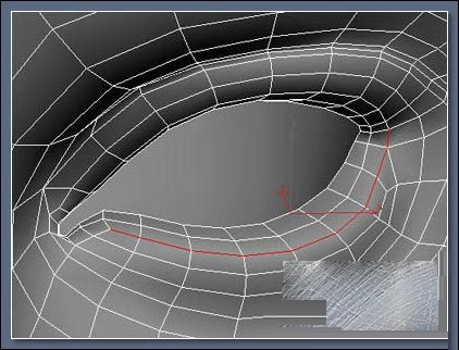 3DMAX特别制作漂亮的睫毛模型基础教程(3dmax绒毛怎么做)