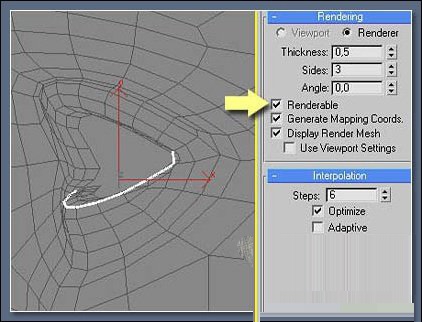 3DMAX特别制作漂亮的睫毛模型基础教程(3dmax绒毛怎么做)