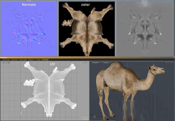 3DMAX逼真的制作沙漠之舟顽强的骆驼模型(3dmax沙漠建模)