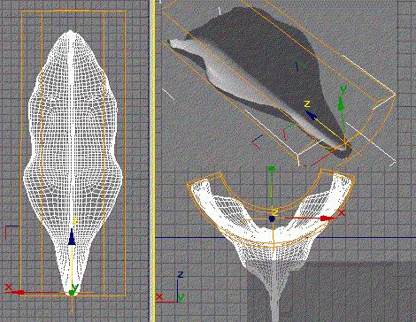 怎样才能用3DMAX制作出纯洁的百合花模型(怎样才能用3dmax制作出纯洁的百合花模型)