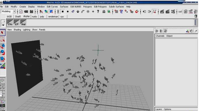 用MAYA8.5系统打造鱼群模型(maya鱼建模)