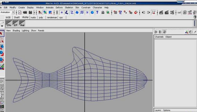 用MAYA8.5系统打造鱼群模型(maya鱼建模)