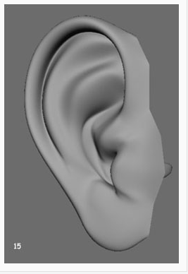 用Maya制作人耳的建模方法(maya简单的耳朵建模)