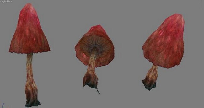 用3ds Max制作游戏中写实蘑菇模型(用3ds max制作游戏中写实蘑菇模型)