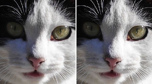 Photoshop巧用高反差保留无损锐化照片