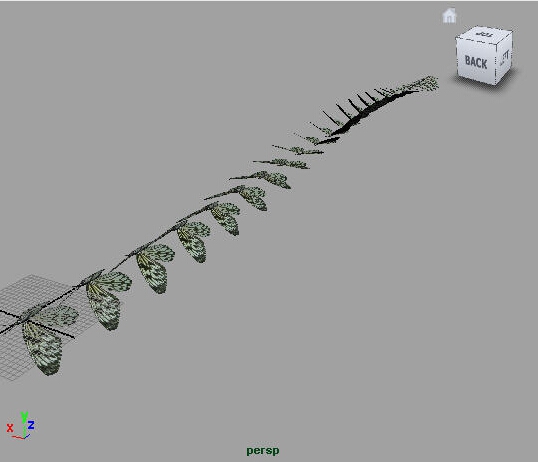 Maya制作飘扬的蝴蝶模型(蝴蝶建模maya)