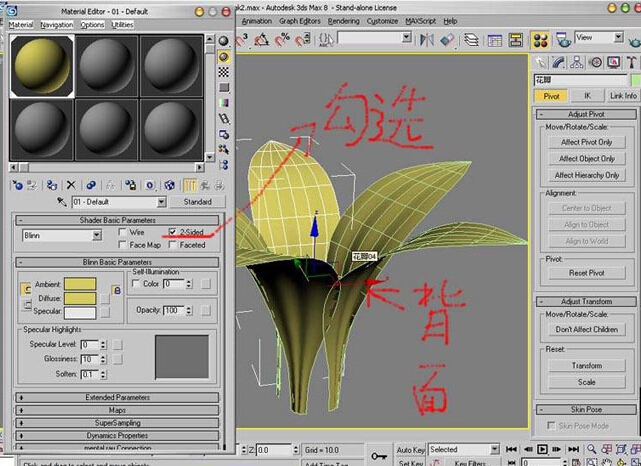 新手教程：3dmax鲜花制作教程(新手教程:3dmax鲜花制作教程视频)