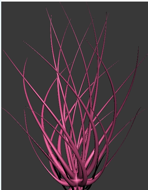 花草模型的建模教程(花草模型的建模教程视频)