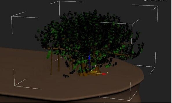 3d Max制作晨光下的一颗古树木模型(3dmax建模树木)