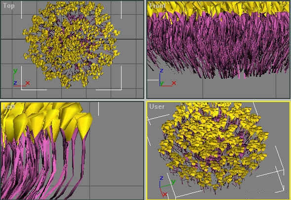 利用3dmax制作一朵红玫瑰(利用3dmax制作一朵红玫瑰花)