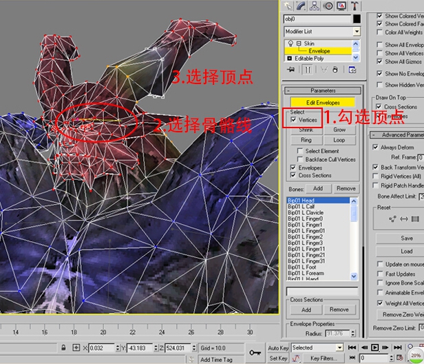 利用3dmax学习Skin 绑定的教程