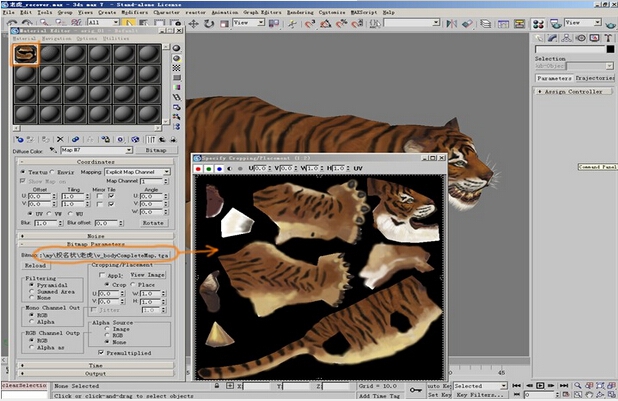 如何利用3dmax制作老虎的模型(如何利用3dmax制作老虎的模型)