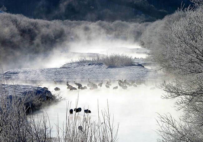 Photoshop制作漂亮的雪景人物插画(插画雪景图片)
