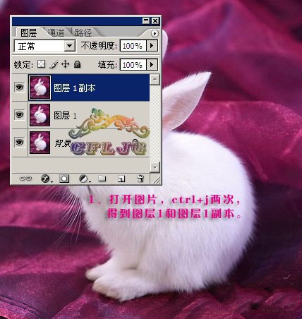 怎样使用Photoshop滤镜工具抠出小白兔