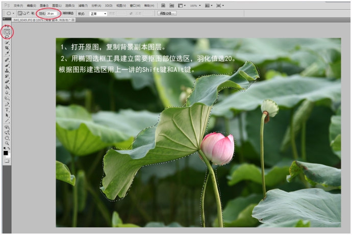 Photoshop简单虚化荷花图片背景突出主体(photoshop简单虚化荷花图片背景突出主体颜色)